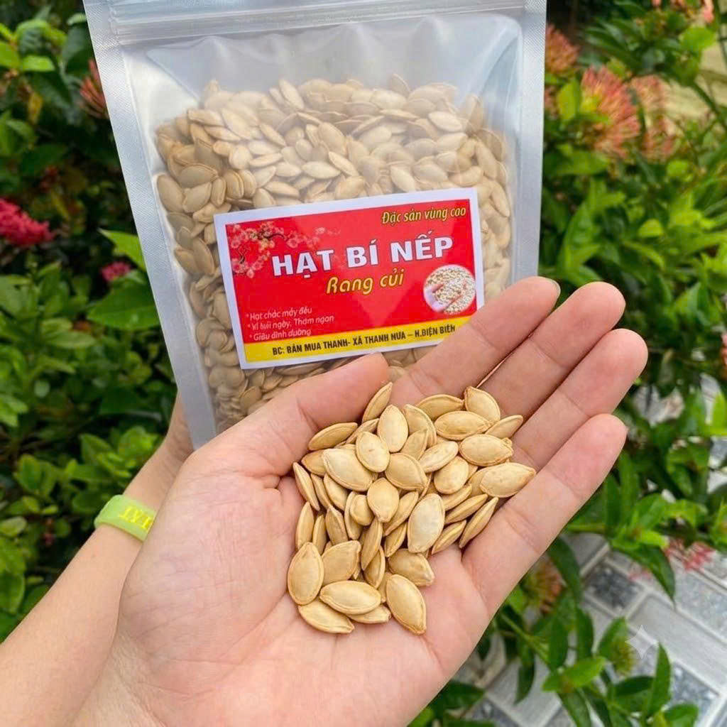 Hạt bí nếp hạt mẩy đều trên tay