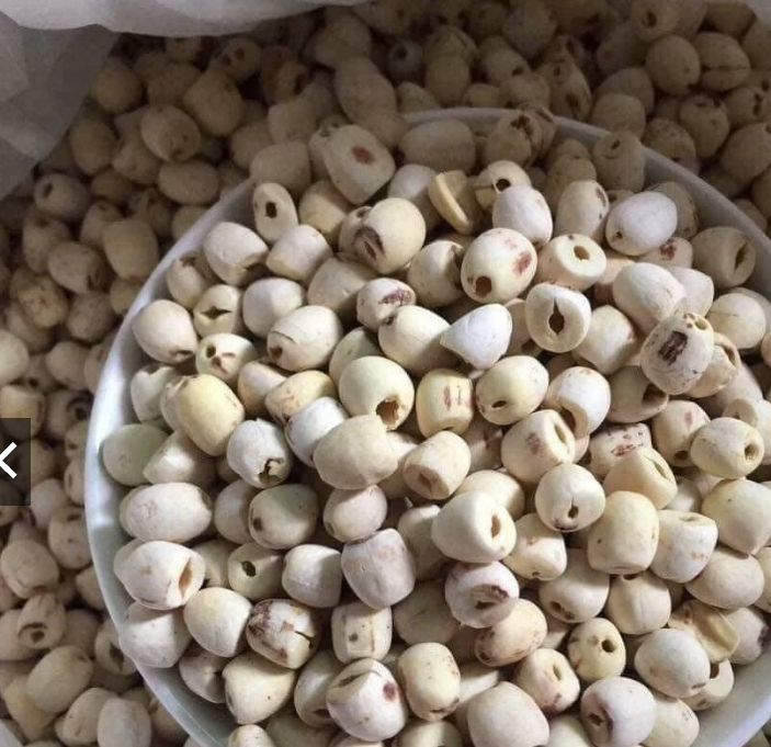 Bát hạt sen khô đều hạt sấy tự nhiên