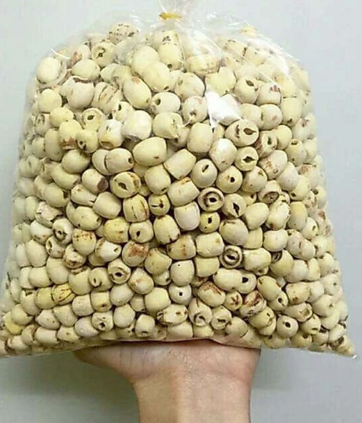Túi hạt sen khô đầy đặn trên tay